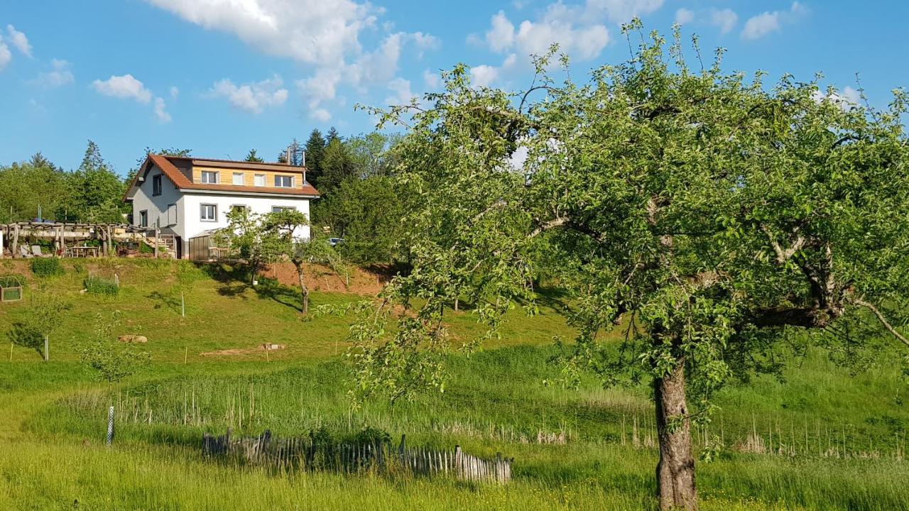 Coeur Vert Oekologisch Mit Viel Ambiente Fuer Seelen-Wellness ロンシャン エクステリア 写真